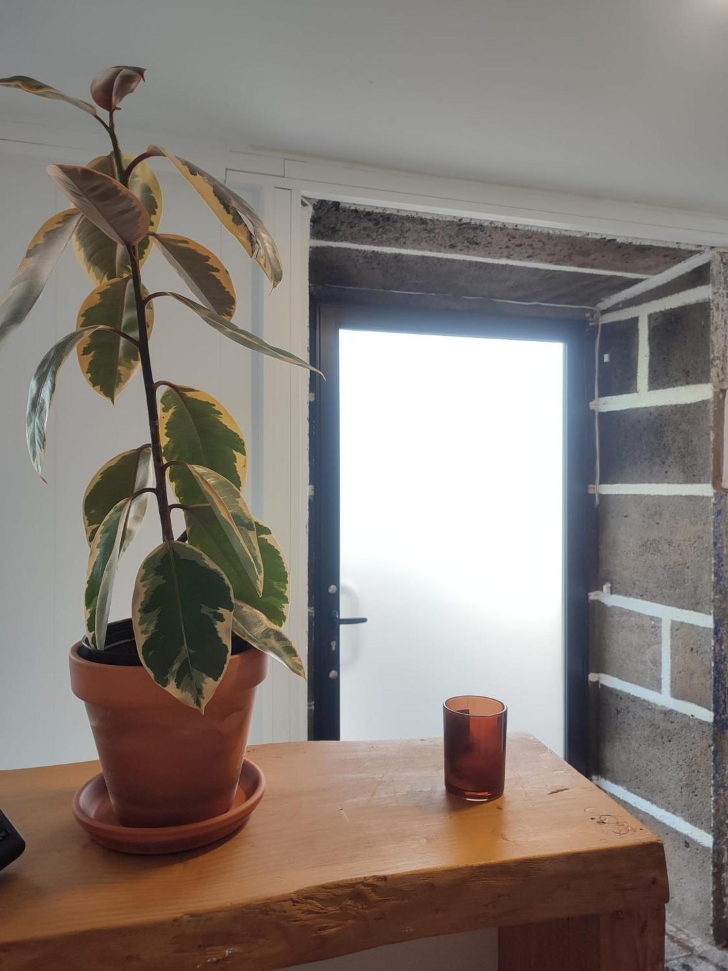 Bed and Breakfast Fenais Da Luz House Exterior foto